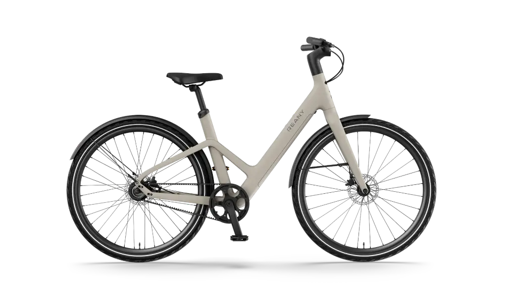 [RB1101] Reany W1 PRO